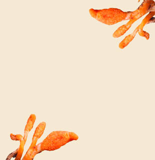 Популярное