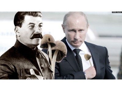 Помните старый анекдот? "Теща умерла. Бледной поганкой отравилась. - А почему синяки на руках? - Есть не хотела..."