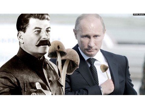 Помните старый анекдот? "Теща умерла. Бледной поганкой отравилась. - А почему синяки на руках? - Есть не хотела..."