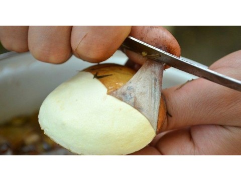 Снимать ли у маслят пленку?