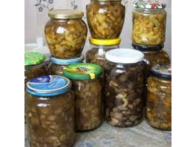  Промышленное консервирование грибов.