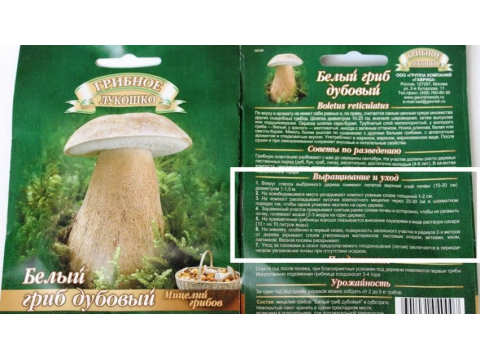Грибные мошенники