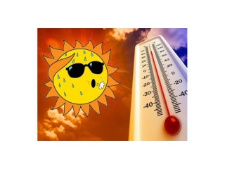 Восстановление организма после негативного влияния жары и смога