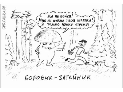 На грибы часто возводят напраслину.