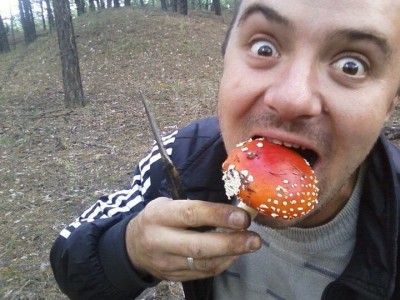 И опять о мухоморах.