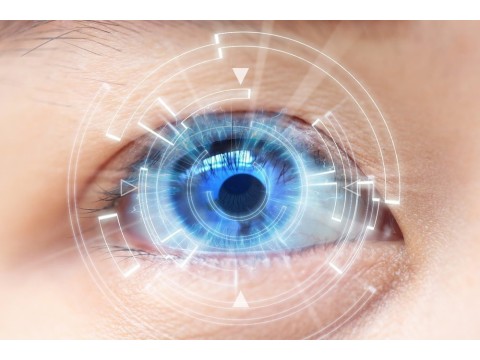 Грибной комплекс для здоровья глаз