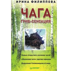 Чага Гриб-Сенсация