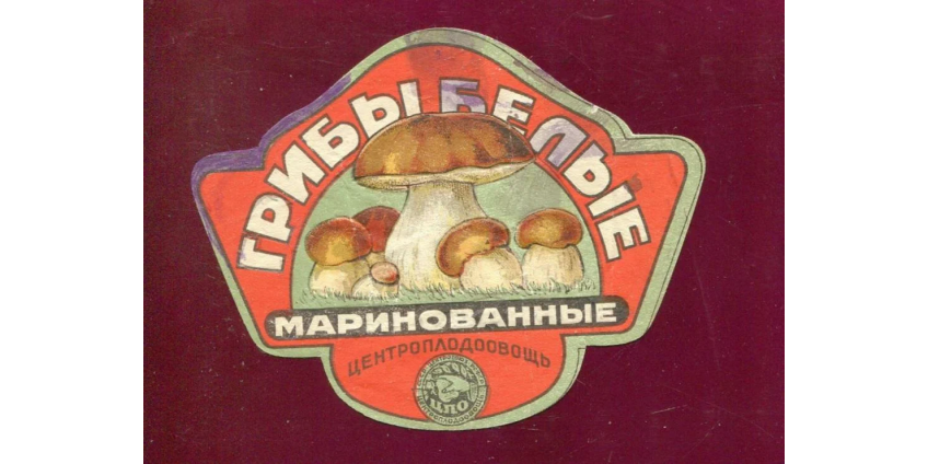 Советские "рабы-грибники" в Подмосковье. 30-е годы.