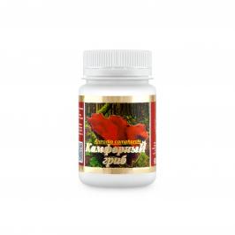 Камфорный гриб (Antrodia camphorata)