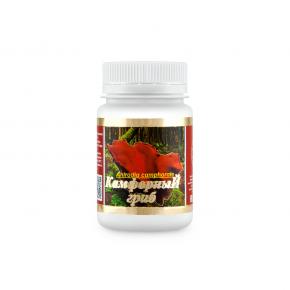 Камфорный гриб (Antrodia camphorata)
