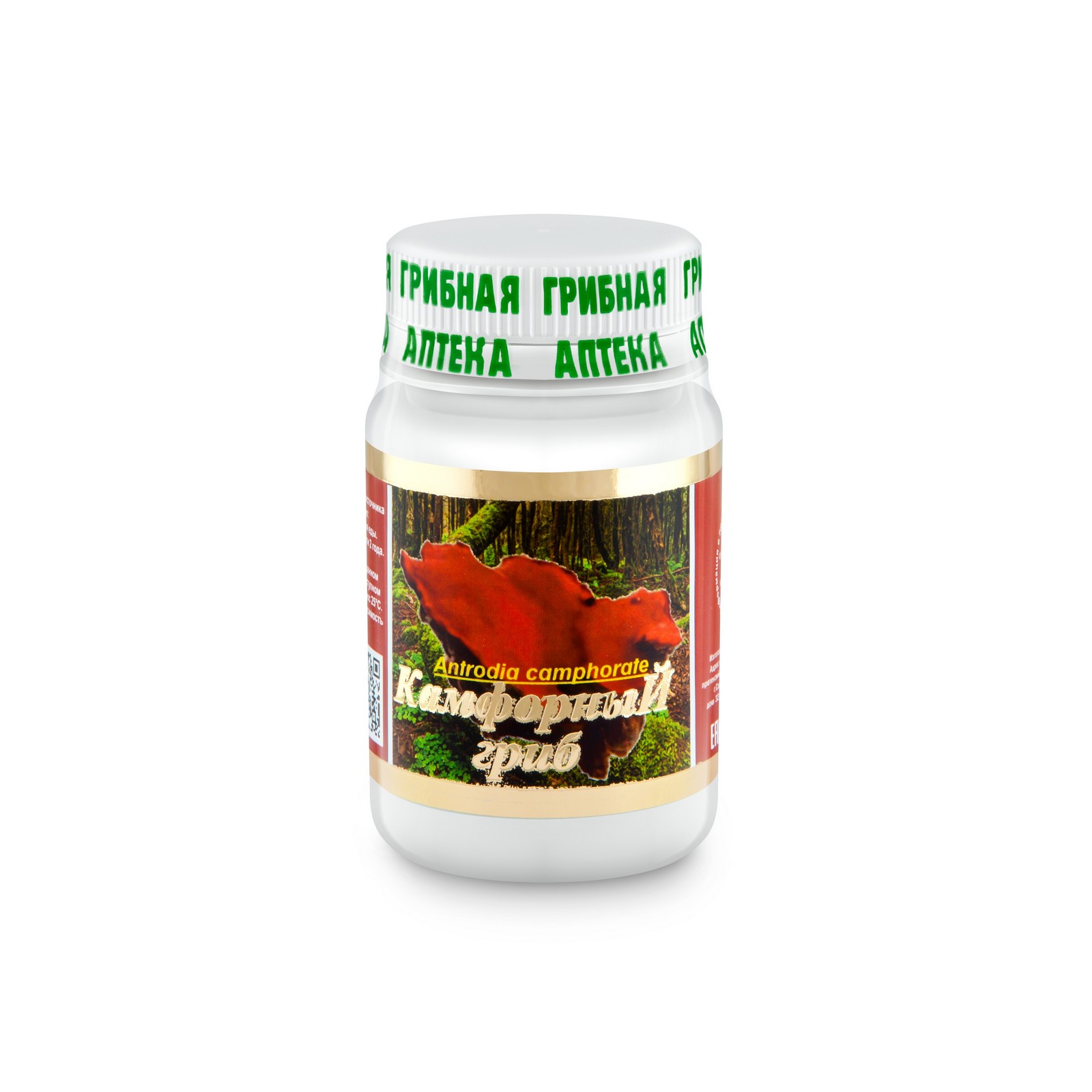 Камфорный гриб (Antrodia camphorata)
