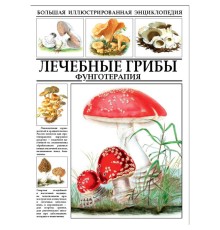 Большая иллюстрированная энциклопедия 'Лечебные грибы. фунготерапия.' И.А.Филиппова
