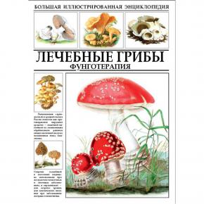 Большая иллюстрированная энциклопедия 'Лечебные грибы. фунготерапия.' И.А.Филиппова